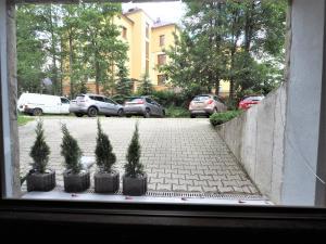 Fotografia z galérie ubytovania VIP Apartamenty Centrum Przy Równi v Zakopanom