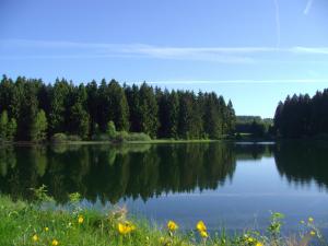 a view of a lake with trees in the background at Flambacher Mühle in Clausthal-Zellerfeld