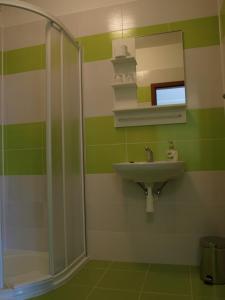 ein Bad mit einem Waschbecken und einer Dusche in der Unterkunft Penzion U Dvou lip in Drnholec
