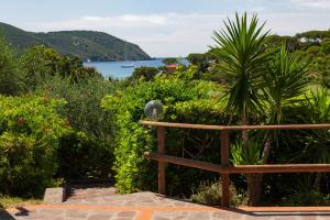 a wooden bench sitting next to a view of the water at Appartamenti Tallinucci in Lacona