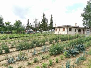 Zahrada ubytování Masseria Le Querciole