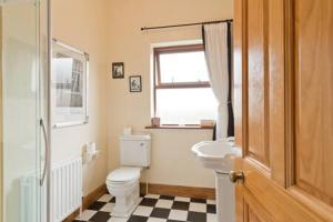a bathroom with a toilet and a sink at Ash House Bed and Breakfast in Calverstown
