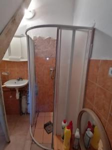 y baño con ducha y lavamanos. en Malomtavi Vendégház en Tapolca