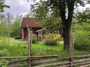 Zahrada ubytování Vandrarhem Svänö + 26 fotografií