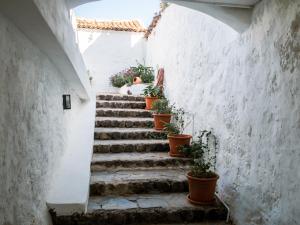a cat sitting on a staircase with potted plants at Casa Fina in Santiago del Teide
