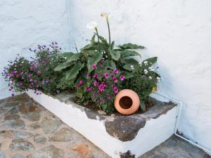 a planter with flowers and plants in a wall at Casa Fina in Santiago del Teide