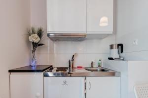 Kuchyň nebo kuchyňský kout v ubytování Pod Winogronem - Apartamenty z basenem i wyżywieniem
