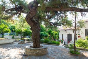 A garden outside ILIOCHARI sea view apartments Oropos - Kalamos
