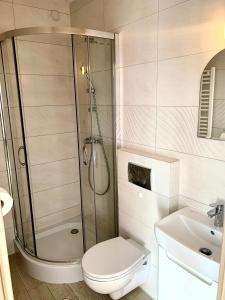 La salle de bains est pourvue d'une douche, de toilettes et d'un lavabo. dans l'établissement Willa Widokowa Zakopane, à Zakopane