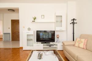 Televízia a/alebo spoločenská miestnosť v ubytovaní Apartments Palmic