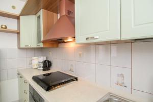 Kuchyňa alebo kuchynka v ubytovaní Apartments Palmic