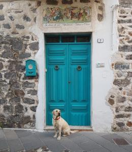 a dog sitting in front of a blue door at B&B Sa domo de sos Massaios in Orosei