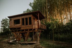 una casa en un árbol de madera en medio de un bosque en Bonita cabaña de los arboles en La Rioja , Durmiendo entre arboles en Anguciana