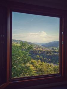 una ventana con vistas a un bosque de árboles en L’oasi di Cice, en Rufina