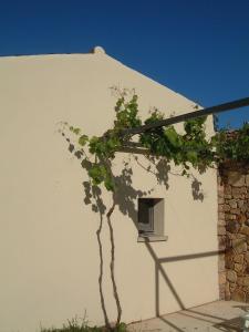 The building in which a vidéki vendégházakat is located Még 36 kép