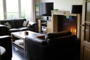 TV a/nebo společenská místnost v ubytování B&B Domaine du Vieux Chêne