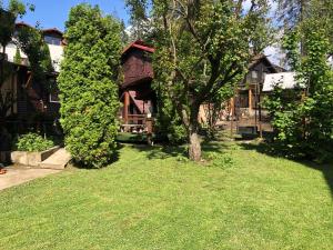 un cortile con un albero e una casa di Vila Bellmont a Predeal