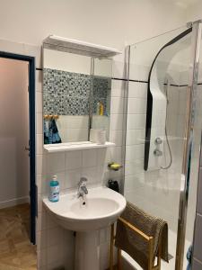 马赛Les Floralies Canebière的带水槽和淋浴的浴室