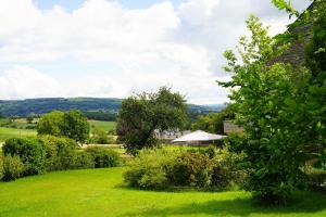 Příroda nedaleko bed and breakfast