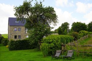 two chairs and a tree in front of a house at B&B Domaine du Vieux Chêne in Stoumont