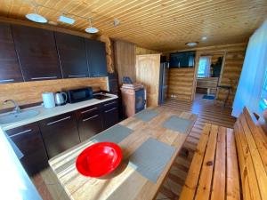 a kitchen with a red frisbee on a table at Žubītes in Bērzgale