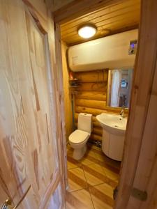 La salle de bains est pourvue de toilettes et d'un lavabo. dans l'établissement Žubītes, à Bērzgale
