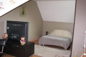 アルク・ラ・バタイユにあるChambres d'Hôtes Arques en Cielのベッドルーム(ベッド1台、鏡付)
