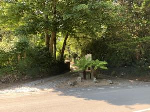 una carretera con árboles al lado de una calle en Boscundle Manor en St Austell