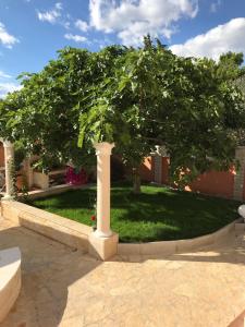 a tree in the middle of a yard at Apartment Valerija in Privlaka +24 photos