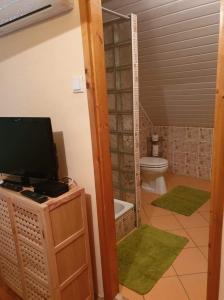 a bathroom with a toilet and a tv on a cabinet at Violet Holiday’s House in Siófok