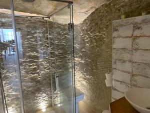 a bathroom with a shower and a toilet and a sink at Casa Cueva El Puente in Setenil