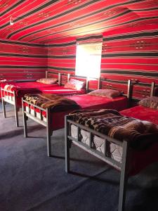 3 łóżka w pokoju z czerwonymi ścianami w obiekcie Bedouin House Camp w mieście Wadi Rum