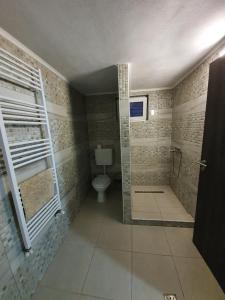 a bathroom with a shower and a toilet in it at SergillioHouse in Chişcău