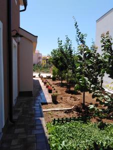 un jardin avec des arbres et des plantes à côté d'un bâtiment dans l'établissement Apartment Ninić, à Srima