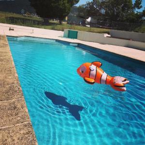 een zwembad met een clownvis en dolfijnen in het water bij Auberge de la Paillère in Lavours