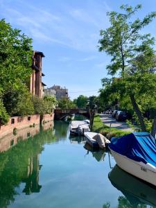 un grupo de barcos están atracados en un río en Villa Venice Movie, en Lido de Venecia