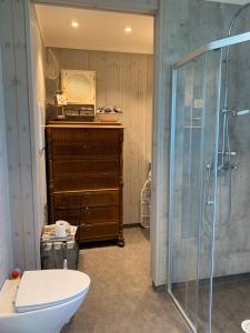 y baño con ducha, aseo y lavamanos. en The Gingerbread House en Lillehammer