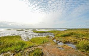 a beach with grass and water and a cloudy sky at Pet Friendly Home In Skærbæk in Skærbæk