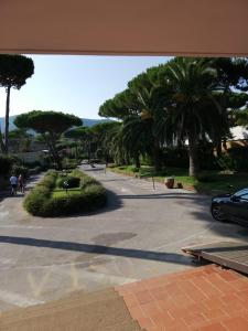 uma vista para um parque de estacionamento com palmeiras em SUITE 225 Golf H PROMO SERVICE SRL em Castiglione della Pescaia