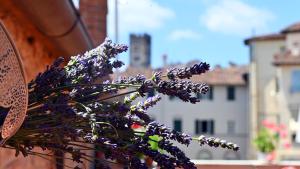 a bouquet of purple flowers sitting on a building at L'Iris B&B in Terrazza in Lucca