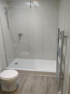 ein Bad mit einer Dusche und einem WC in der Unterkunft Boreland Farm in Dunscore