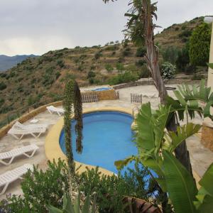 a swimming pool with chairs and a cactus at ALBARICO RETREAT in Bédar