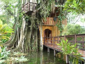 Zahrada ubytování Topos Tree House