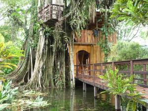 a tree house with a bridge in the water at Topos Tree House in Cahuita