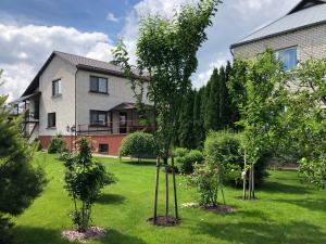 a group of trees in a yard in front of a house at Arvydo Gylio sodyba in Ignalina