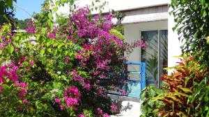 Un jardín fuera de Résidence des îles