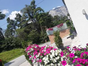 Naturlandschaft in der Nähe der Pension