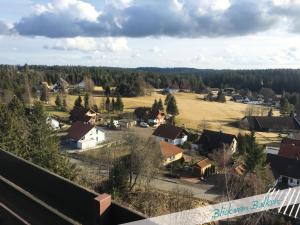 a small village with houses and a field at Fewo Nationalpark Schwarzwald in Freudenstadt