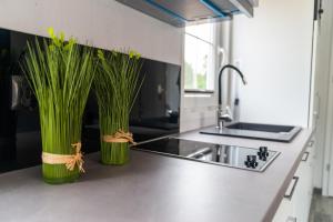Kuchyňa alebo kuchynka v ubytovaní Osada Wilaneska domki Mikołajki Mazury