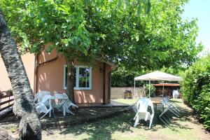 Casa del Gelso في ترفيجنانو رومانو: بيت فيه كراسي وطاولة وشجرة